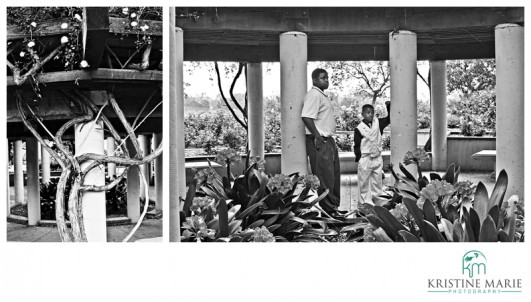 Family Portrait | Balboa Park Rose Garden 