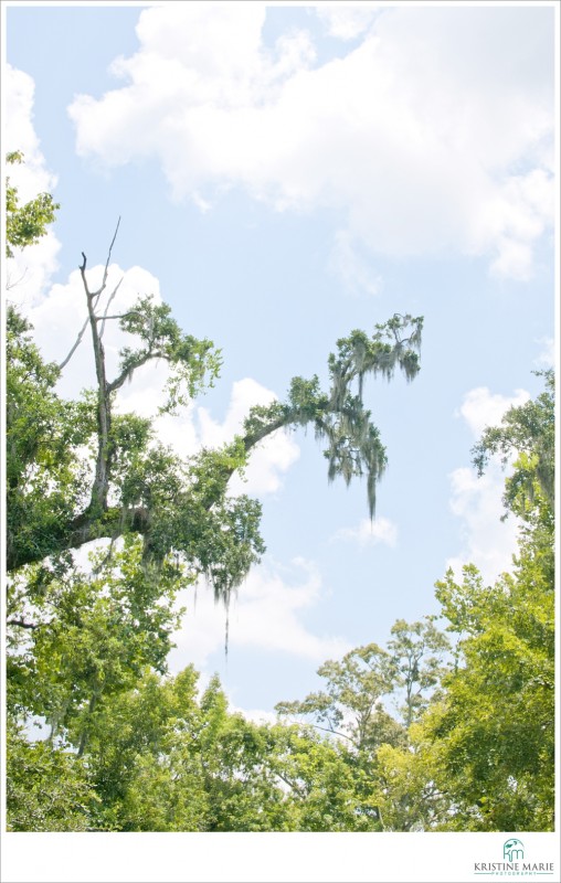 Jean Lafitte Barataria Preserve | New Orleans, Louisiana | www.KristineMariePhotography.com