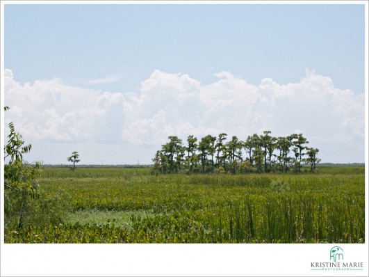 Jean Lafitte Barataria Preserve | New Orleans, Louisiana | www.KristineMariePhotography.com