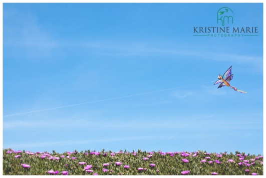 Flying Kite | Half Moon Bay | www.KristineMariePhotography.com