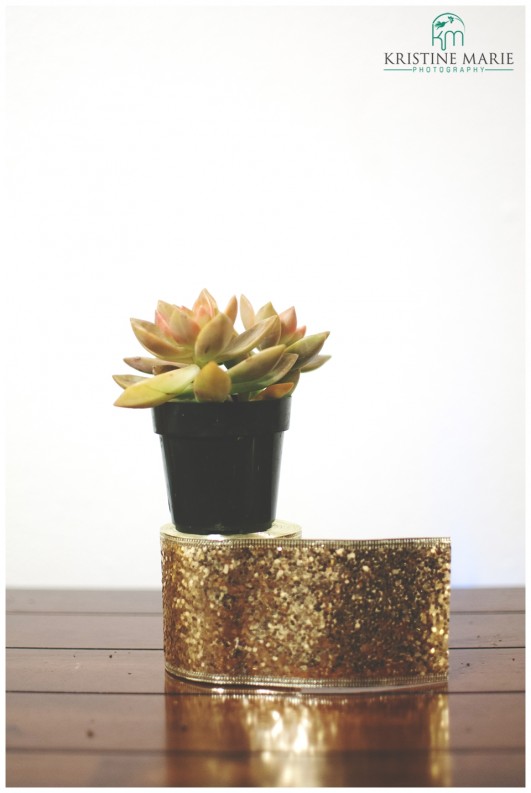 DIY Wedding Favors | Sparkly Succulents | www.KristineMariePhotography.com