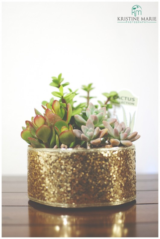 DIY Wedding Favors | Sparkly Succulents | www.KristineMariePhotography.com