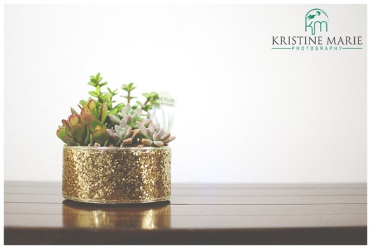 DIY Wedding Favors | Sparkly Succulents | www.KristineMariePhotography.com