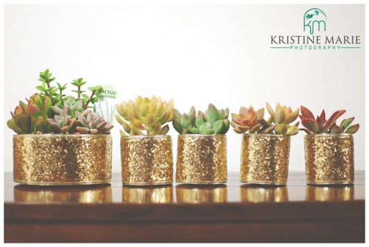 DIY Wedding Favors | Sparkly Succulents | www.KristineMariePhotography.com