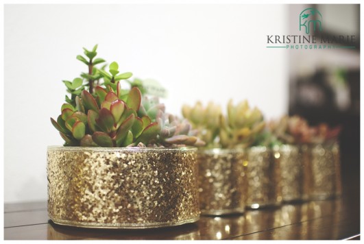 DIY Wedding Favors | Sparkly Succulents | www.KristineMariePhotography.com