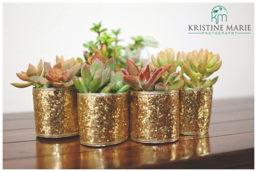 DIY Wedding Favors | Sparkly Succulents | www.KristineMariePhotography.com