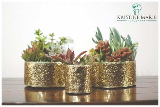 DIY Wedding Favors | Sparkly Succulents | www.KristineMariePhotography.com