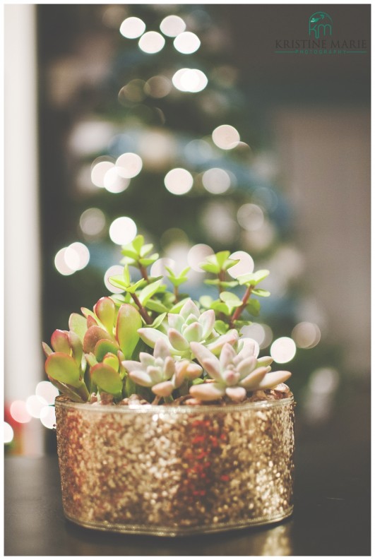 DIY Last Minute Gift Idea | Sparkly Succulents | Glittery ribbon for sparkly succulent gift | www.KristineMariePhotography.com