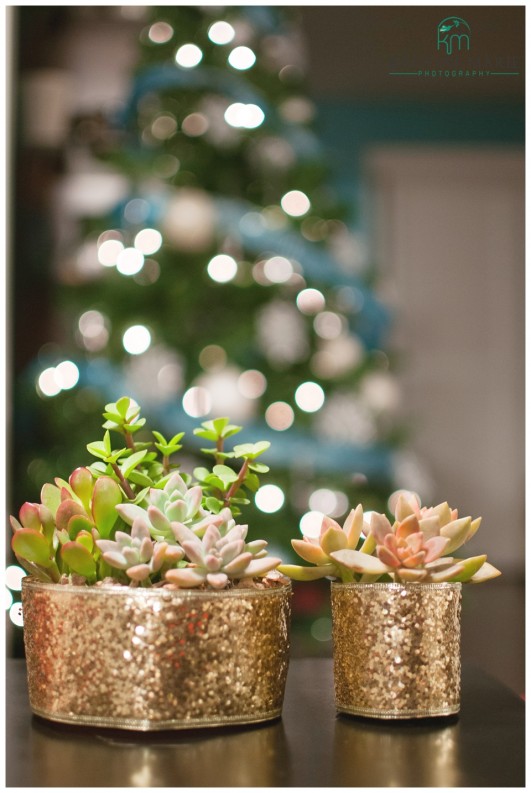 DIY Last Minute Gift Idea | Sparkly Succulents | Glittery ribbon for sparkly succulent gift | www.KristineMariePhotography.com