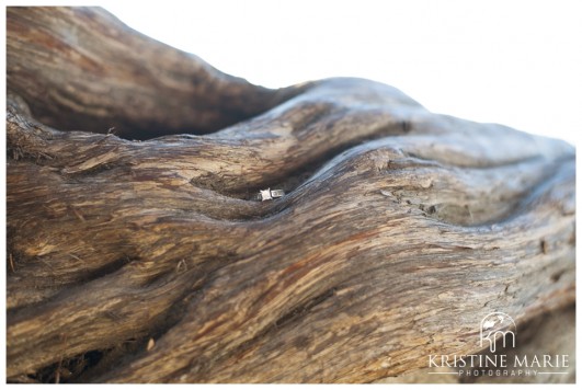 La Jolla Shores Beach Engagement | Kristine Marie Photography | San Diego Engagement Photographer