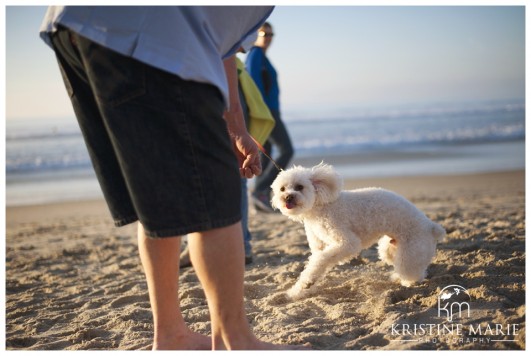 La Jolla Shores Beach Engagement | Kristine Marie Photography | San Diego Engagement Photographer