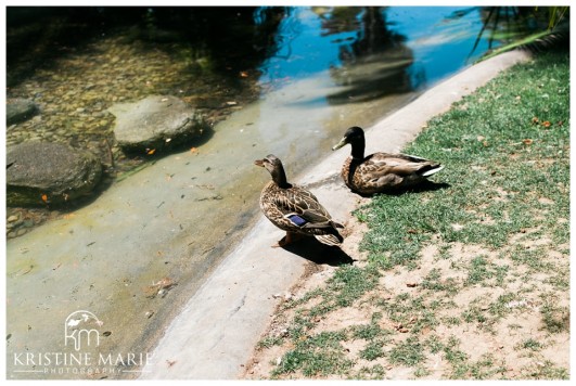 Bahia Hotel Wedding | San Diego Wedding Photographer | Wine Theme Wedding | Kristine Marie Photography (65)