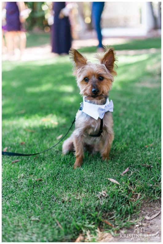 Garty_Pavilion_San_Diego_Wedding_KristineMariePhotography_0090