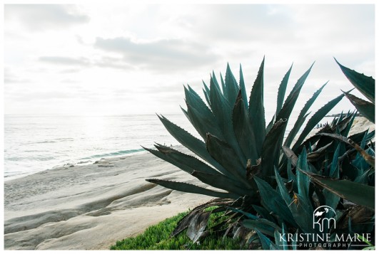 Windandsea Beach Proposal Photos | La Jolla Wedding Photographer | KristineMariePhotography