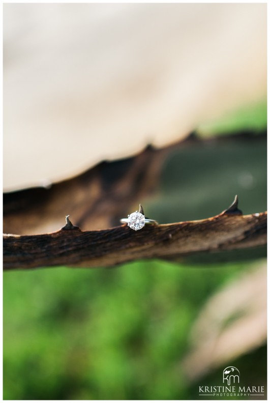 Windandsea Beach Proposal Photos | La Jolla Wedding Photographer | KristineMariePhotography