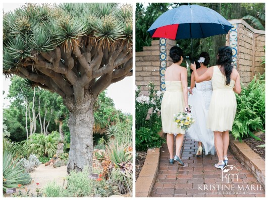 Bride and bridesmaids | San Diego Botanic Wedding Pictures | Kristine Marie Photography