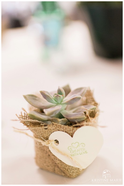 Succulent Plan for Wedding Favor | Marina Village Wedding Photographer | Photo by: Kristine Marie Photography