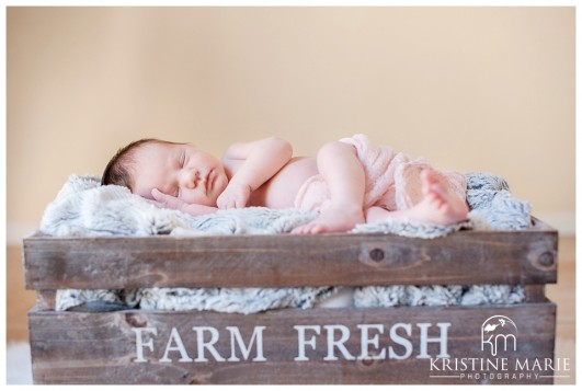 Country Baby in Crate | San Diego Newborn Photographer | Kristine Marie Photography