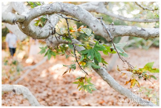 Tangled Branches Details Photo | San Diego Engagement Photographer | Kristine Marie Photography