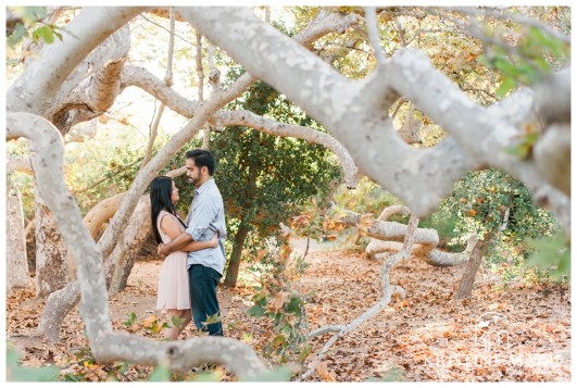 Couple under Tree Branches | San Diego Engagement Photographer | Kristine Marie Photography