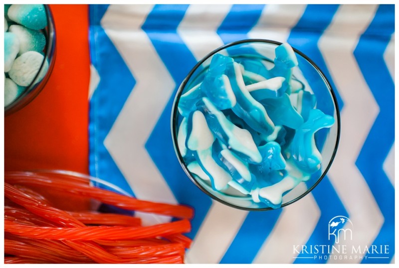 Red White and Blue Dessert Table | First Birthday Party Photo | Dr. Seuss Theme | San Diego Event Photographer | Kristine Marie Photography  | © www.kristinemariephotography.com