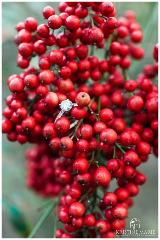 engagement ring and red berries | UCSD Engagement Photo | La Jolla Engagement Wedding Photographer | © www.kristinemariephotography.com