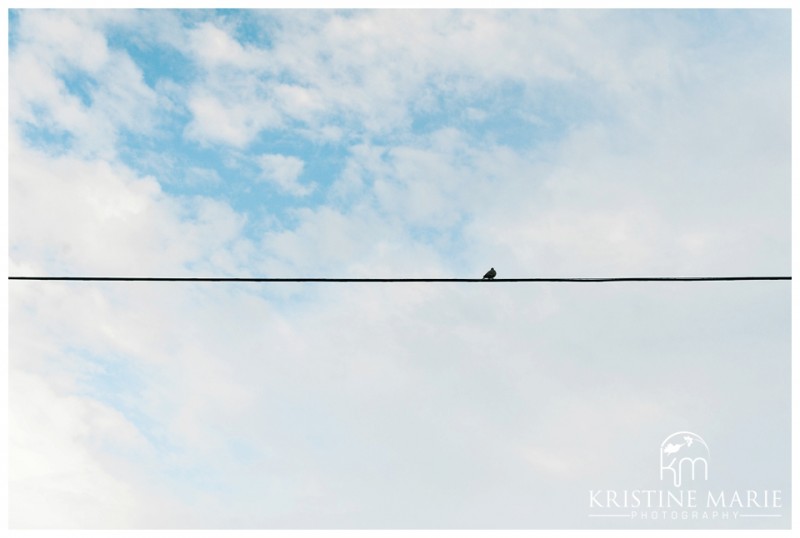 Bird on Wire | Murphy Canyon San Diego Engagement Photo | Kristine Marie Photography | © www.kristinemariephotography.com