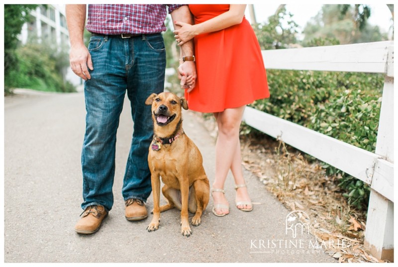 Cute Dog at Engagement Shoot Engagement in San Diego with Dog | Murphy Canyon San Diego Engagement Photo | Kristine Marie Photography | © www.kristinemariephotography.com