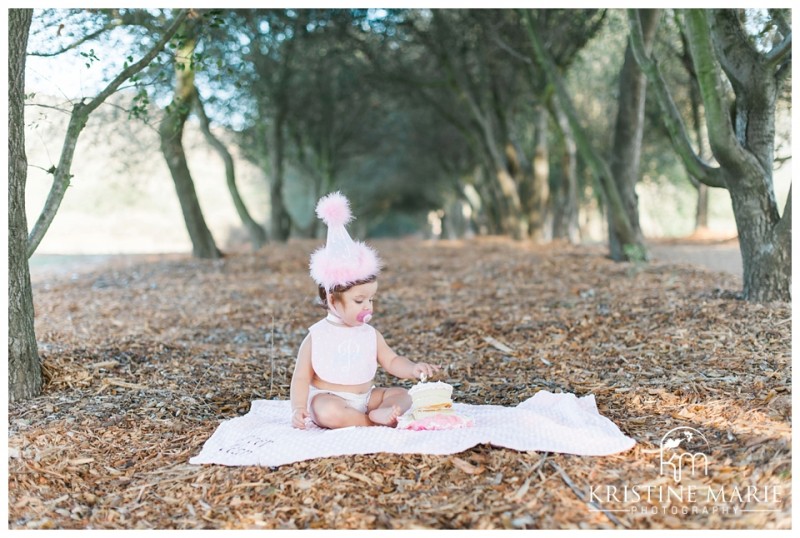 First Birthday Baby Girl Cake Smash | San Diego Poway Baby Photographer | Kristine Marie Photography © www.kristinemariephotography.com 