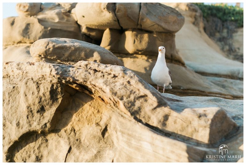 La Jolla Cove Beach Engagement Photos San Diego Photographer | © Kristine Marie Photography | www.kristinemariephotography.com (10)