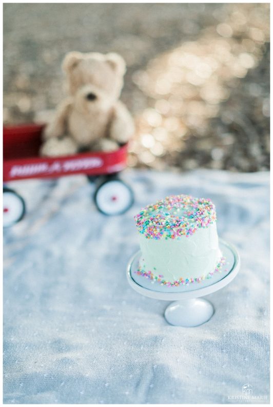 First Birthday Cake Smash San Diego Family Photo Photographer | © Kristine Marie Photography | www.kristinemariephotography.com (14)