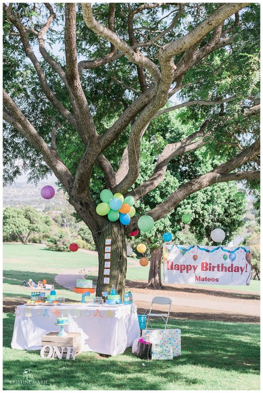 Kate O Sessions Memorial Park San Diego | First Birthday Cake Smash Photos | © Kristine Marie Photography www.kristinemariephotography.com (24)