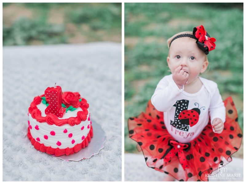 First Birthday Cake Smash San Diego Photographer | © Kristine Marie Photography | www.kristinemariephotography.com (8)