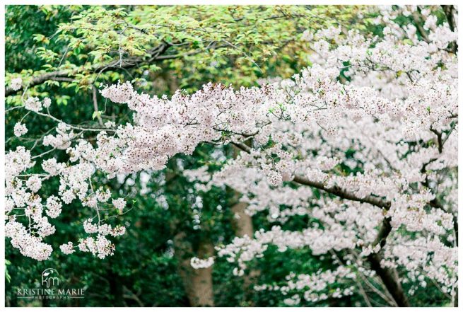 Kamakura Yokosuka Photographer | Engagement Couples | © Kristine Marie Photography (18)