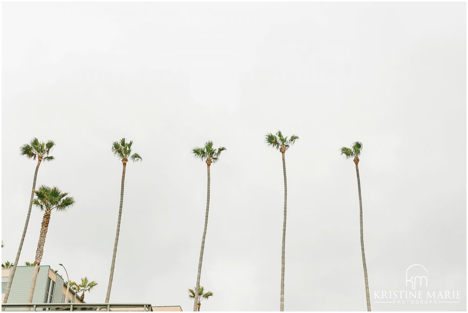 Palm Trees | San Diego Wedding Photo | © Kristine Marie Photography (34)