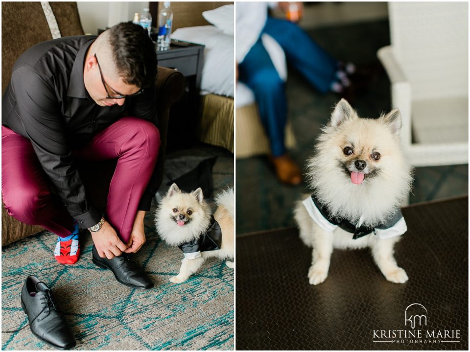 Groom and dog in tux getting ready | Hilton Harbor Island San Diego Wedding Photo | © Kristine Marie Photography (62)