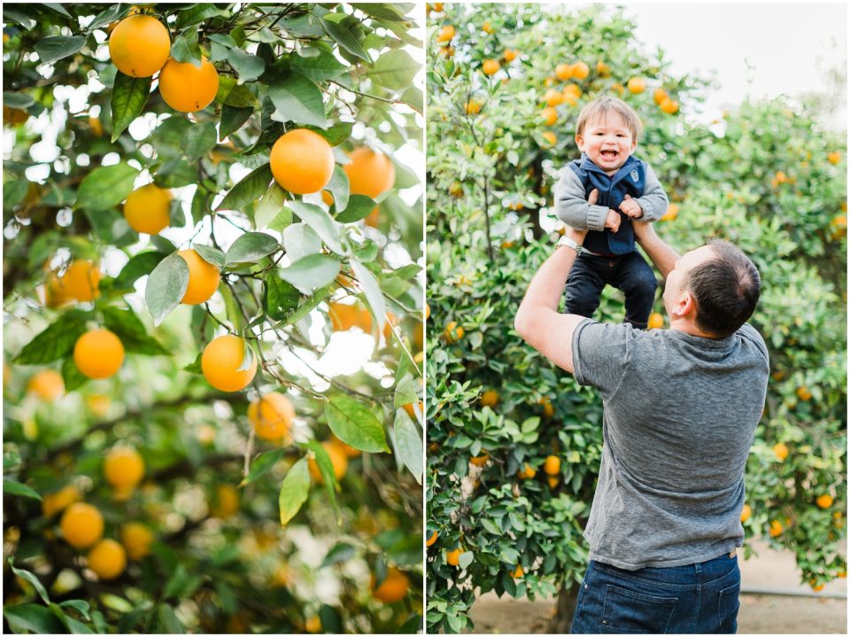 Escondido San Diego Family Photographer First Birthday Cake Smash Kristine Marie Photography