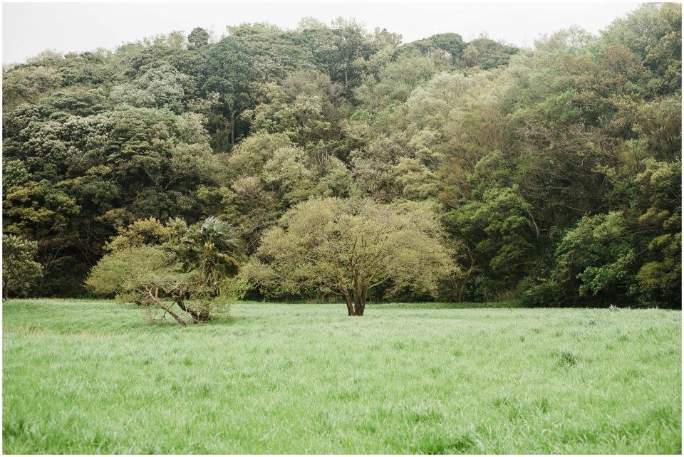 green field Yokohama | Yokosuka Tokyo Family Couples Photographer | © Kristine Marie Photography 