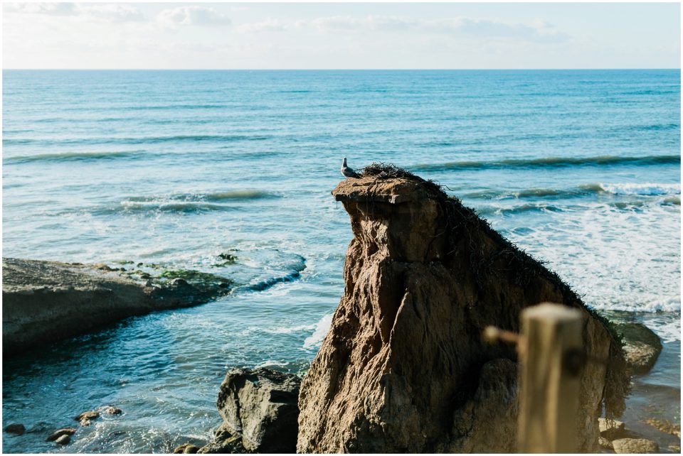 San Diego Engagement Wedding Photographer Sunset Cliffs © Kristine Marie Photography