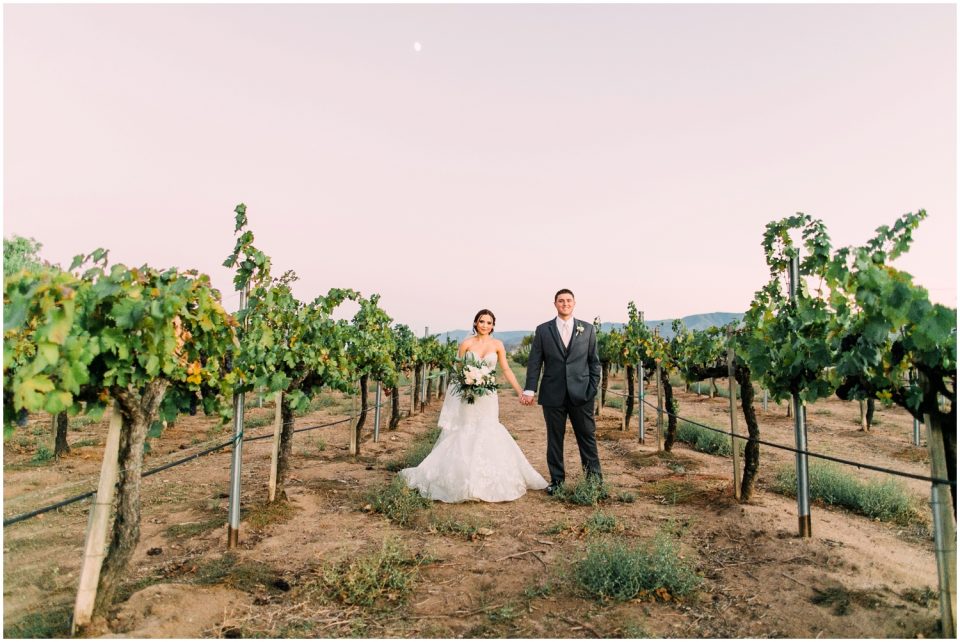 vineyard dusk bride and groom photo | Temecula Ponte Winery Wedding Photographer | Kristine Marie Photography