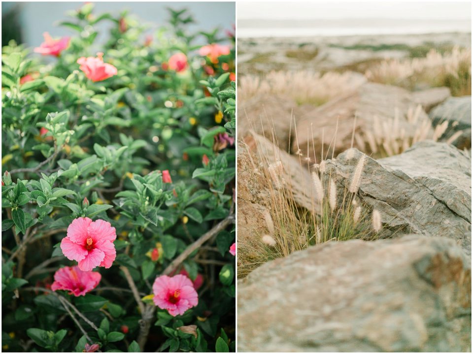 pink hibiscus flowers Hotel Del coronado Beach Engagement Pictures San Diego Engagement Photographer Kristine Marie Photography