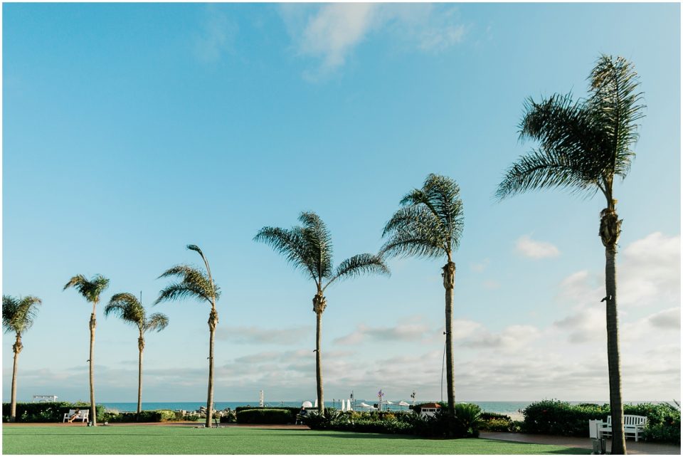 palm trees in a row Hotel Del coronado Beach Engagement Pictures San Diego Engagement Photographer Kristine Marie Photography