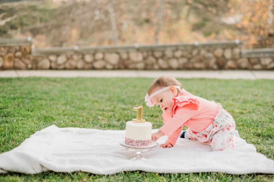 First Birthday Cake Smash Lakeview Park San Marcos San Diego Family Photographer © Kristine Marie Photography