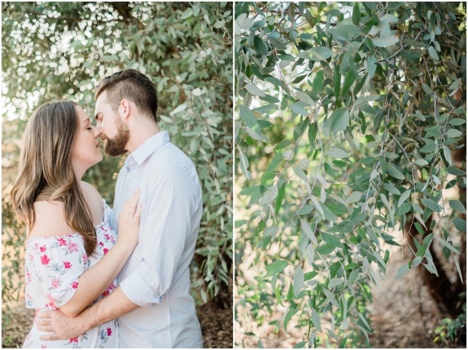 couple kissing under an olive tree photo  | San Diego Engagement Photography | © Kristine Marie Photography